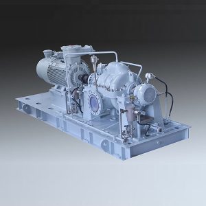 axiaal gesplitste centrifugaalpomp