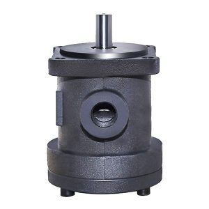 schottenpompen met vaste verplaatsing