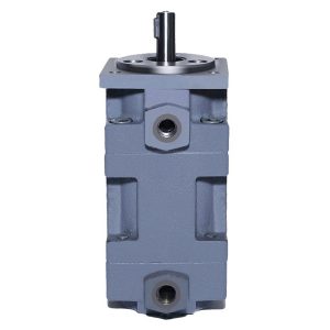 schottenpompen voor middelgrote druk